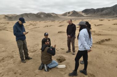 Investigador UDA crea colecciones de microorganismos propios de Atacama