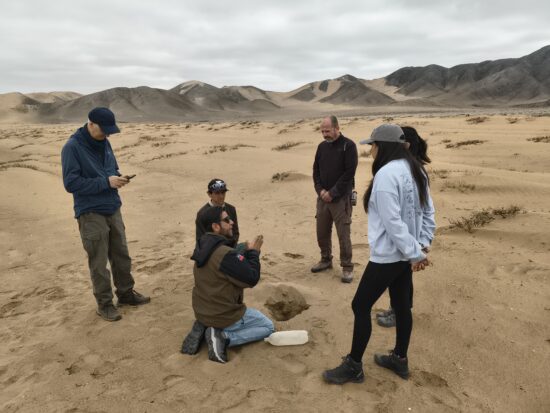 Investigador UDA crea colecciones de microorganismos propios de Atacama