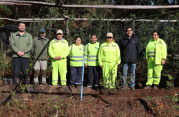 Programa de Emergencia de Empleo (PEE) en la región de Los Ríos