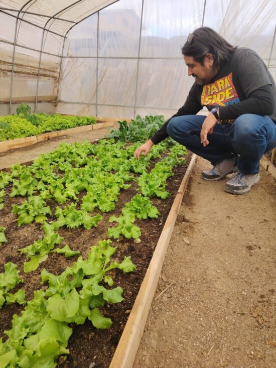 iniciativas que buscan transformar la agricultura del desierto 
