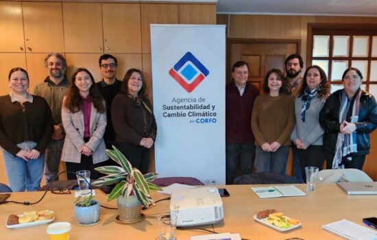 APL Fomento del uso sustentable del bosque nativo del Biobío mediante ordenación forestal