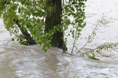 Cómo la lluvia puede hacer colapsar una ladera