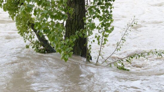 Cómo la lluvia puede hacer colapsar una ladera