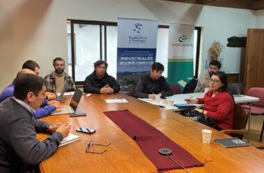 Parque Industrial de Lautaro lidera APL