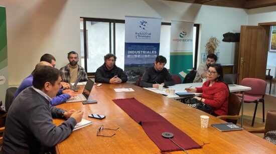 Parque Industrial de Lautaro lidera APL