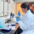 Transforman residuos de salmón en ingredientes de alto valor industrial