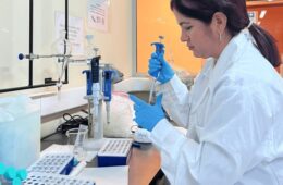 Transforman residuos de salmón en ingredientes de alto valor industrial