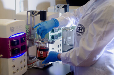 proyecto DEBIOMIN