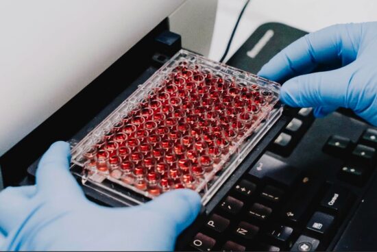 Científicos crean un “ñache biotecnológico”