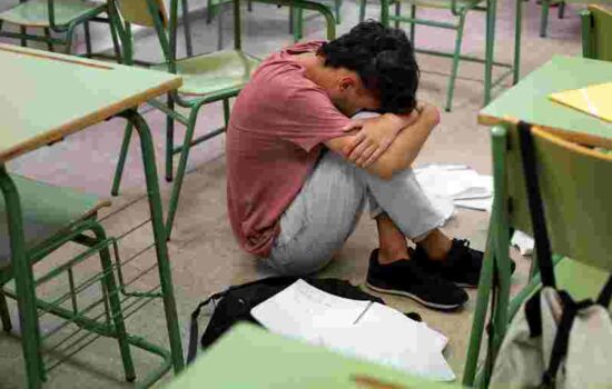 Denuncias por convivencia escolar