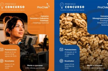 ProChile abre convocatoria de concursos 2027