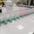 bacterias nativas para convertir el secano en una tierra fértil