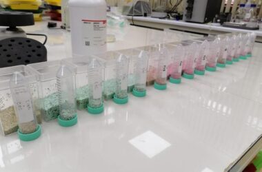 bacterias nativas para convertir el secano en una tierra fértil