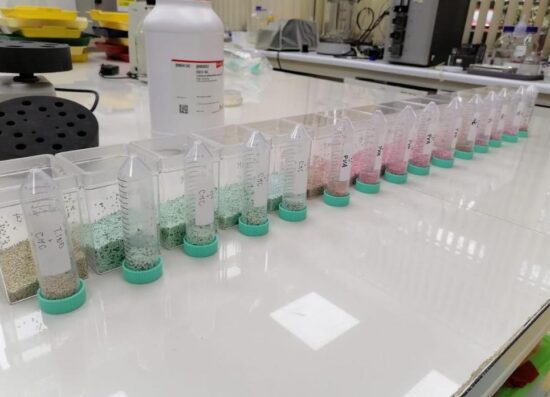 bacterias nativas para convertir el secano en una tierra fértil