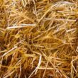pellet para calefacción