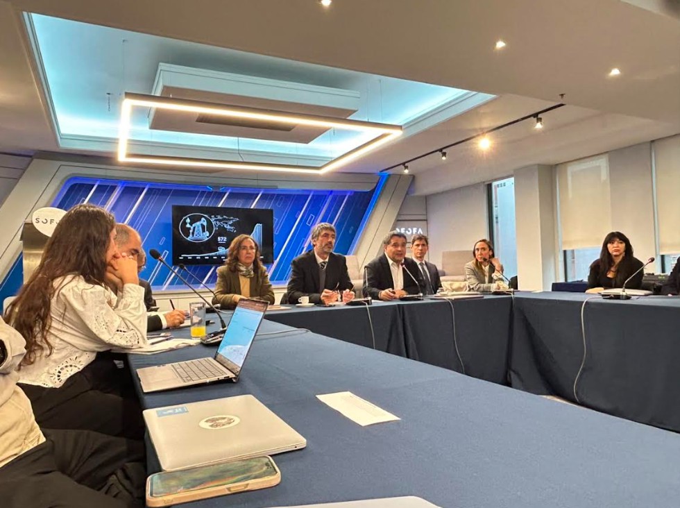 proyecto Descarbonizacion del Sector Cemento