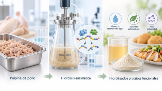 Investigan valorización de pulpina de pollo mediante biotecnología