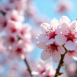 Primavera más lluviosa