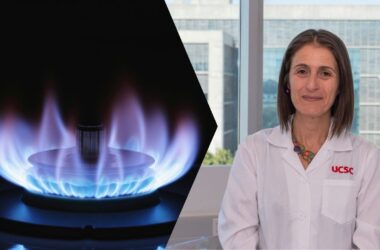 Proyecto convertirá aceite usado y grasa cárnica en dos gases renovables