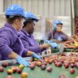 Red de Alimentos fortalece su misión con apoyo de Citi Foundation