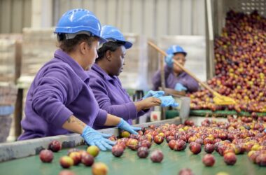 Red de Alimentos fortalece su misión con apoyo de Citi Foundation