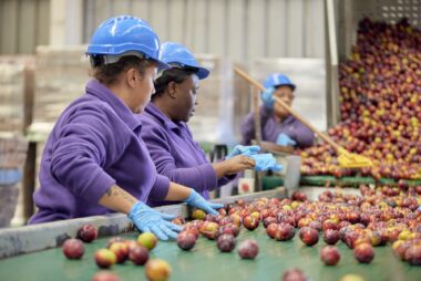Red de Alimentos fortalece su misión con apoyo de Citi Foundation