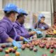Red de Alimentos fortalece su misión con apoyo de Citi Foundation