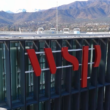 WSP
