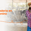 Zoetis abre convocatoria al Premio Ganadería en Femenino Chile 2026
