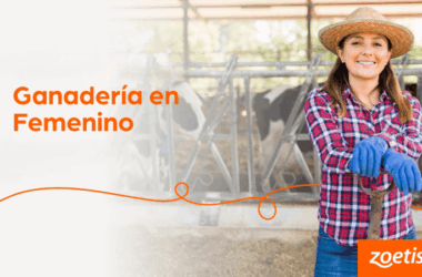 Zoetis abre convocatoria al Premio Ganadería en Femenino Chile 2026