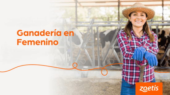 Zoetis abre convocatoria al Premio Ganadería en Femenino Chile 2026