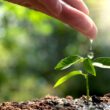 Día Internacional contra el Cambio Climático