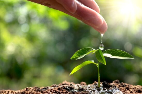Día Internacional contra el Cambio Climático