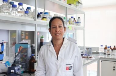 Fibra en la dieta podría reducir el impacto del alcohol sobre el cerebro
