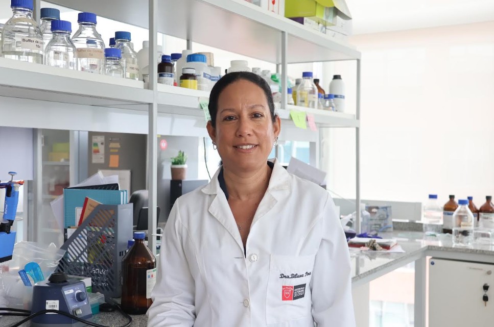 Fibra en la dieta podría reducir el impacto del alcohol sobre el cerebro
